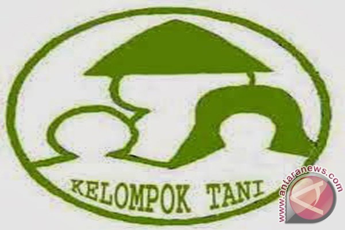 Kelompok Tani Makmur